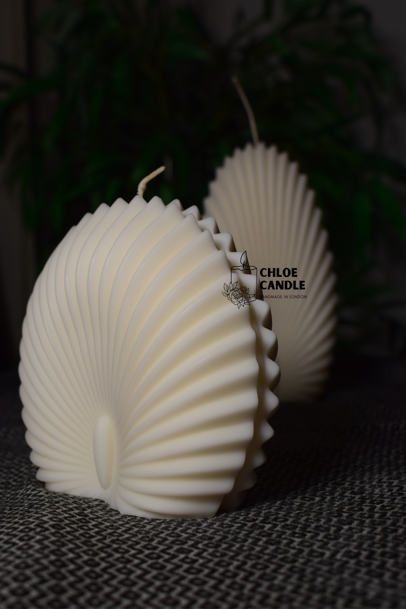 Sea Shell Candle