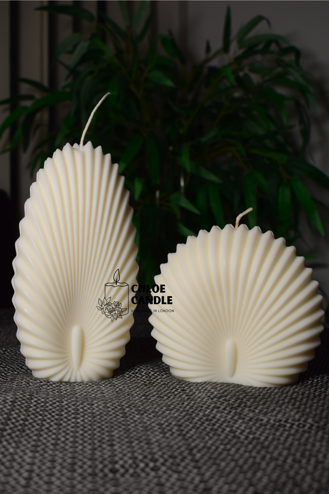 Sea Shell Candle
